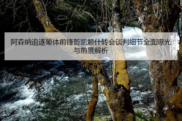 a-sen-na-zhui-zhu-pu-ti-qian-feng-zhe-kai-lai-shen-zhuan-hui-tan-pan-xi-jie-quan-mian-bao-guang-yu-qian-jing-jie-xi-2-207.jpg